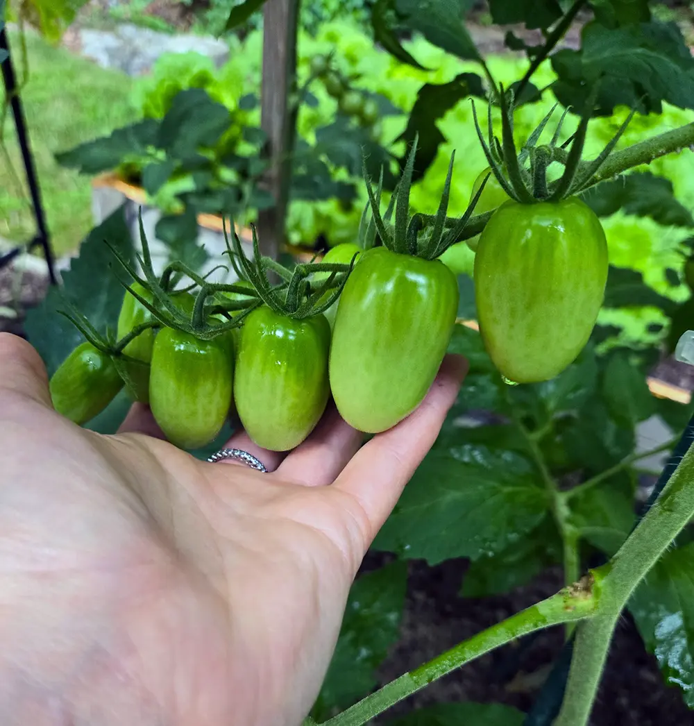 Laurie Garabedian, DO fun image