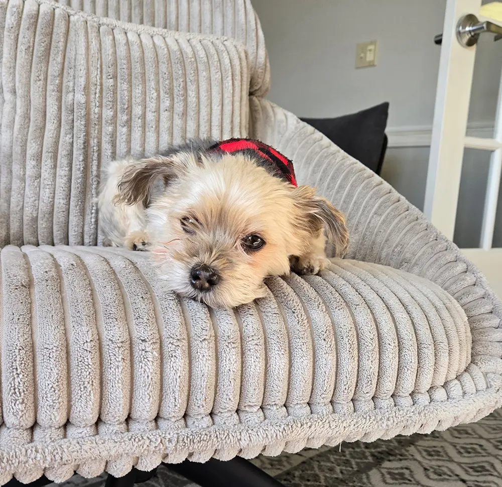 Laurie Garabedian, DO fun image