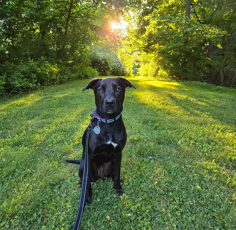 Laurie Garabedian, DO fun image