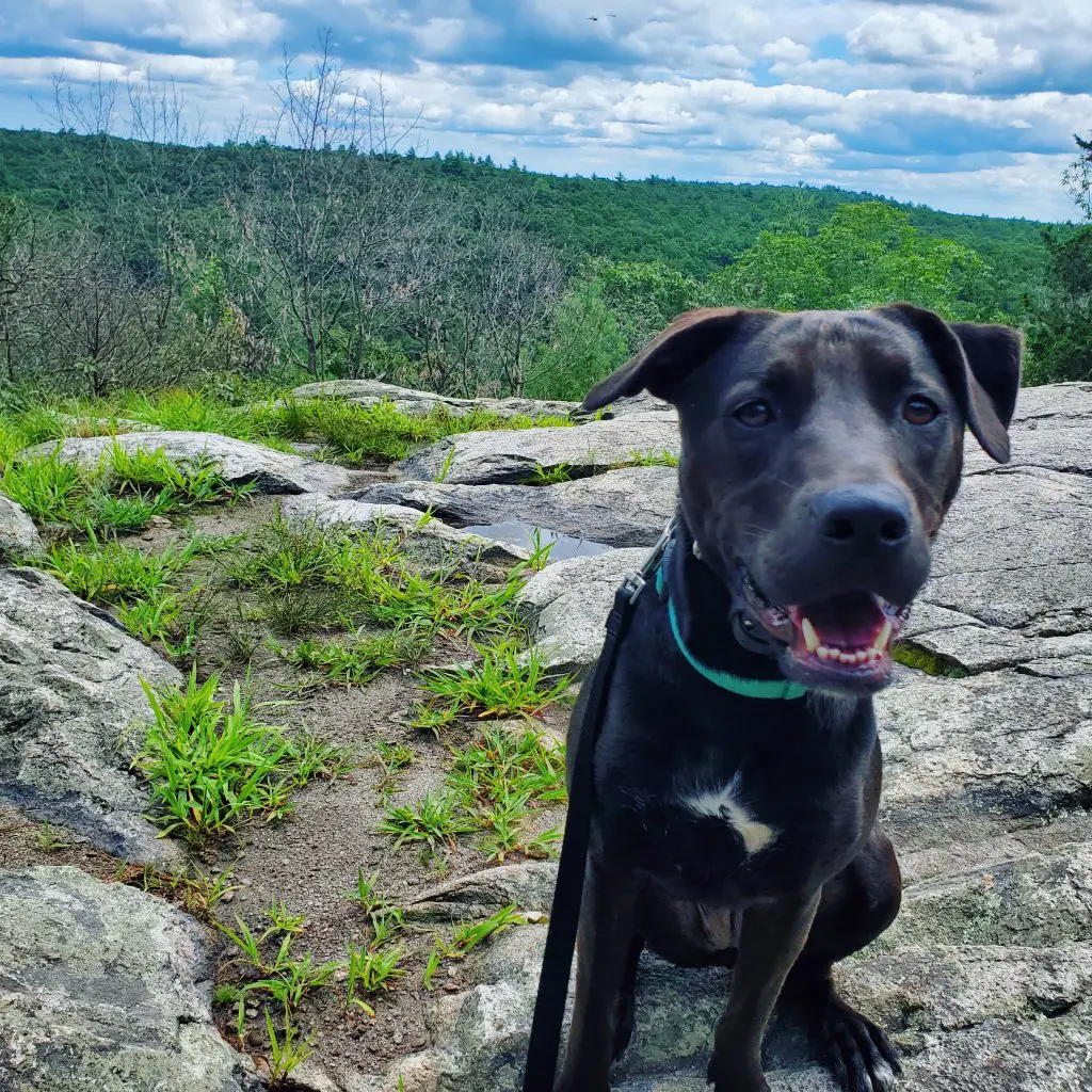 Lucy, MD<span class="text-gray-300">OG</span> fun image