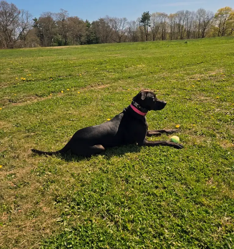 Lucy, MD<span class="text-gray-300">OG</span> fun image