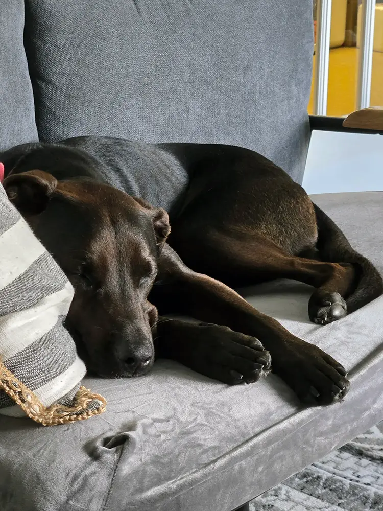 Lucy, MD<span class="text-gray-300">OG</span> fun image