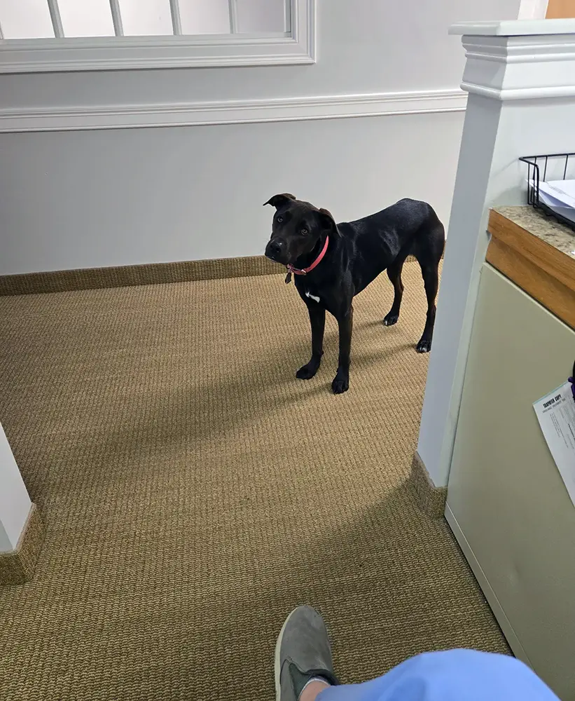 Lucy, MD<span class="text-gray-300">OG</span> fun image