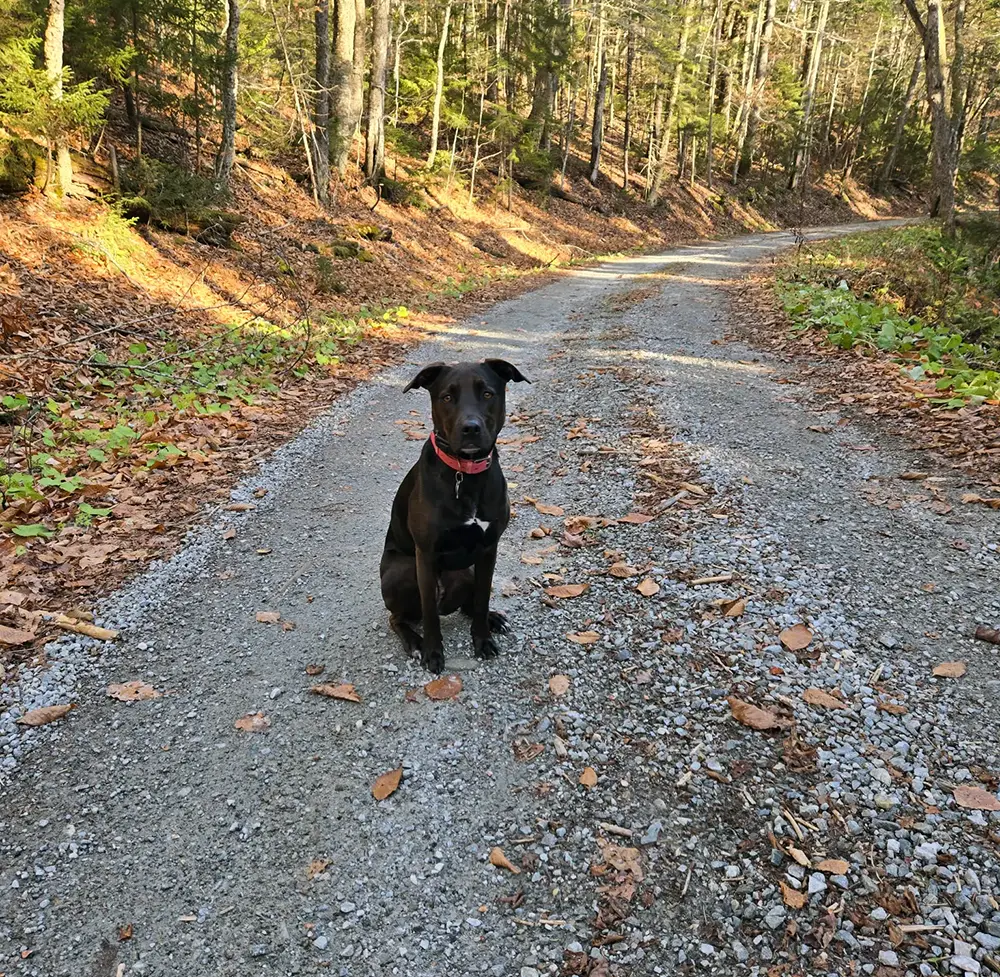 Lucy, MD<span class="text-gray-300">OG</span> fun image